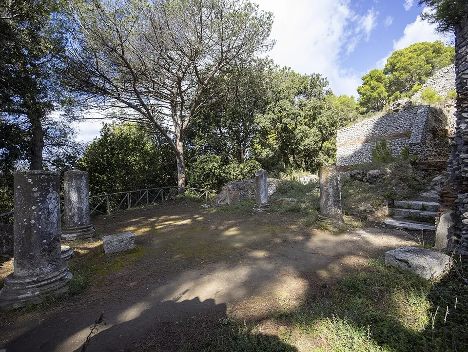 A shaded open space under pine trees, with the stumps of several stone columns standing on their bases and a flight of stone steps leading up on the right.