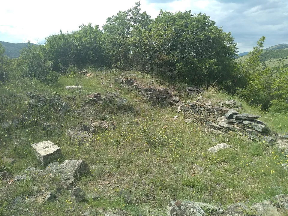 Low stone foundations and loose blocks in long grass with yellow flowers, bushes behind.