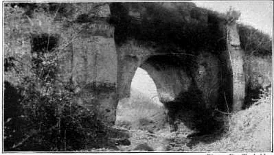 A black-and-white photograph of a single arch of heavy squared stone blocks, overgrown with bushes and plants on top and at its feet.