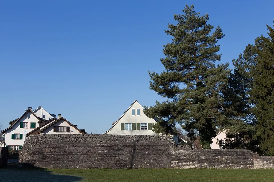 A long, straight wall of small squared stones about the height of a person, running across a lawn in front of houses and a tall pine tree.