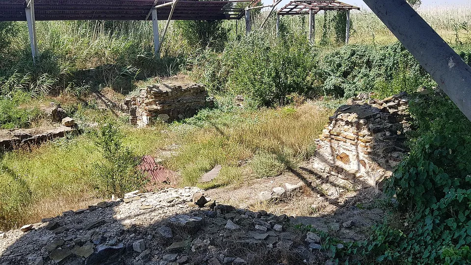 Low walls of rough flat stones among dry grass and bushes inside the fortress, with a light protective roof on posts over part of the excavation behind.