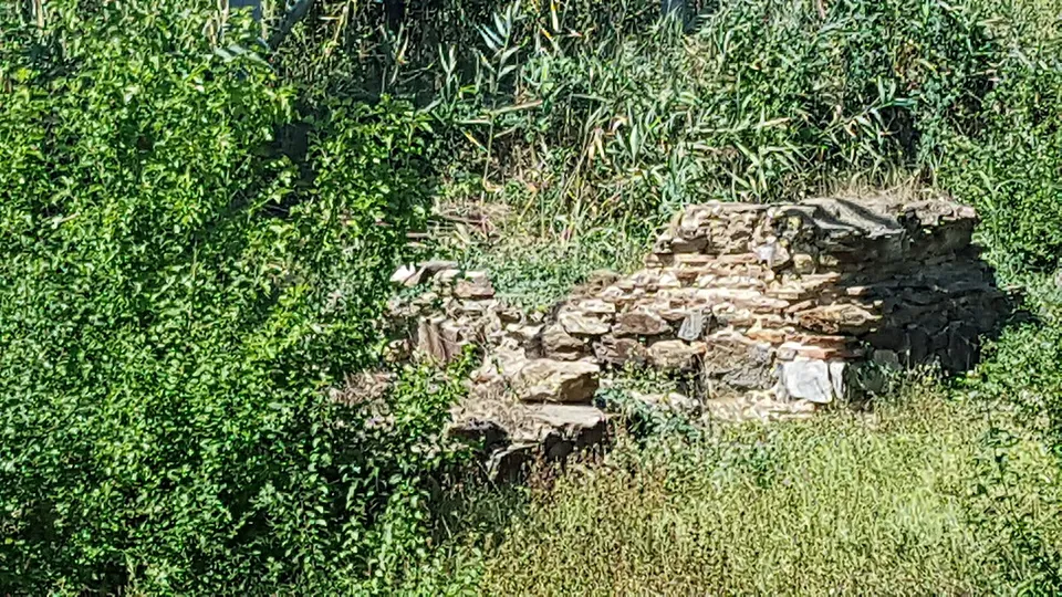 A stretch of rough stone wall, built of flat slabs, half hidden by bushes and tall grass.