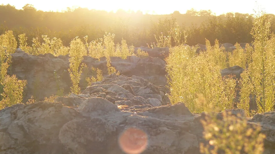 Rough grey stones of the fort's remains among tall grass, lit low and golden by the evening sun.