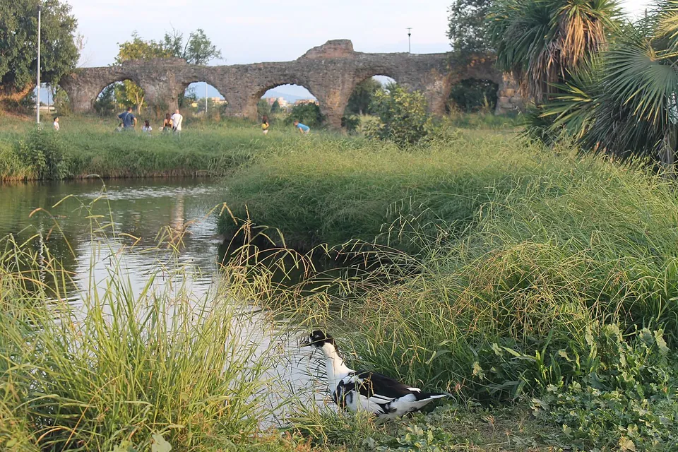 Across a pond fringed with tall grass, a low line of round-headed arches of brick and stone runs through a park, with people walking beneath it and palm trees on the right.