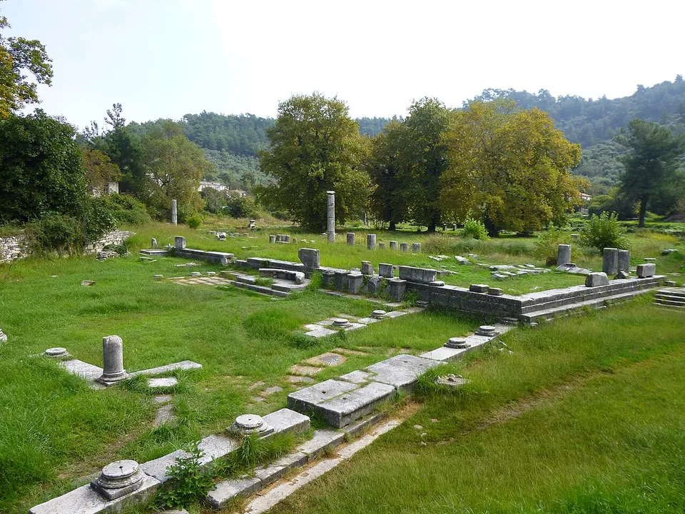 The foundations of colonnades and buildings laid out across a green lawn, with column bases, a few standing column shafts and trees and wooded hills behind.