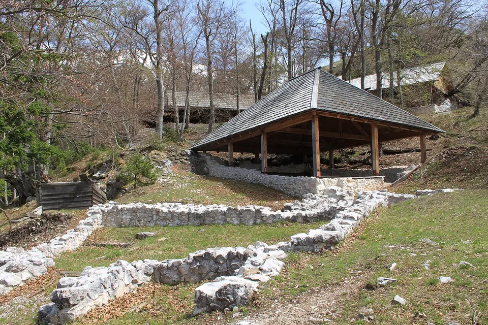 Low drystone wall footings laid out across a clearing in bare woodland, with a large open-sided pavilion roofed in wooden shingles covering further remains behind them.