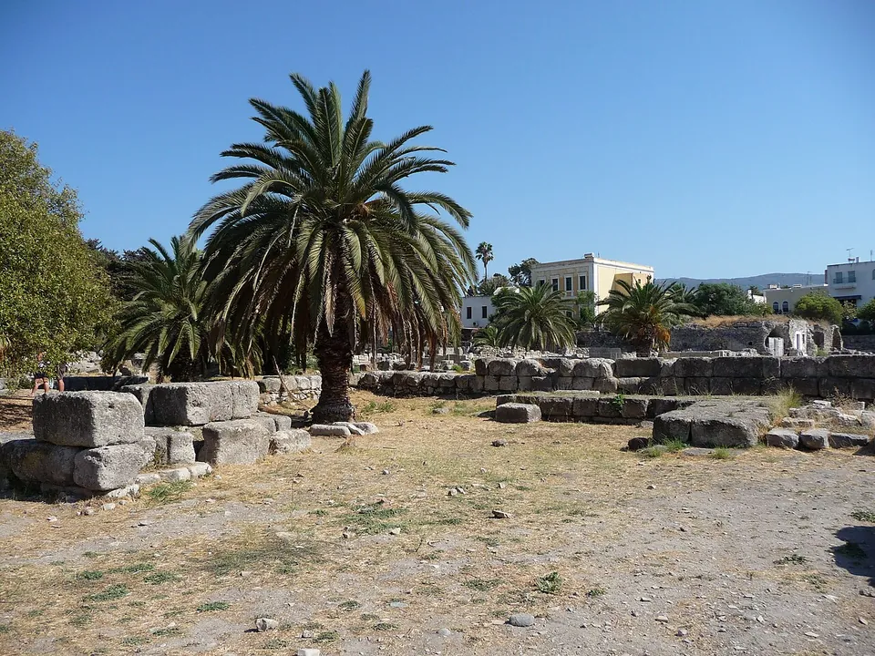 A wide excavated area of squared stone blocks and low walls on dry ground, with palm trees and the town's buildings at its edge.