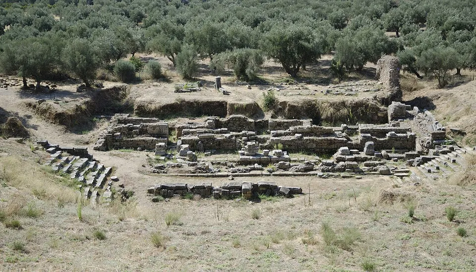 The excavated stage area of a theatre seen from the slope above, with low stone walls and blocks, a few rows of stone seats curving up at each side, and an olive grove behind.