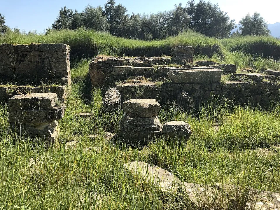 Low walls of large squared stone blocks and loose column drums half hidden in tall green grass, with trees behind.