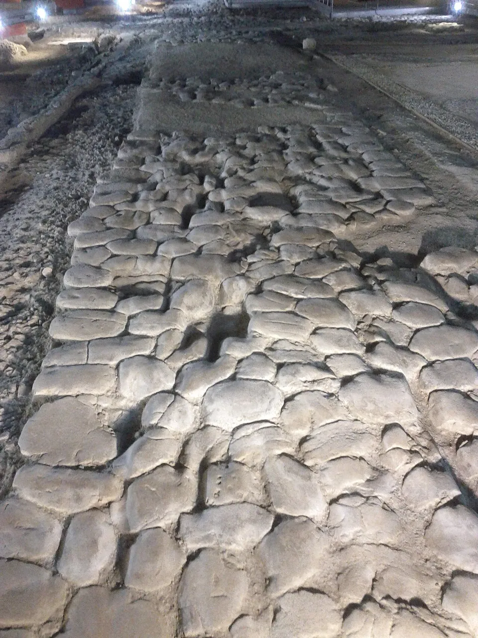 Close view of a stretch of street paved with rounded, irregular grey stone blocks fitted together, worn smooth, with gaps and grooves between them and loose rubble on either side.