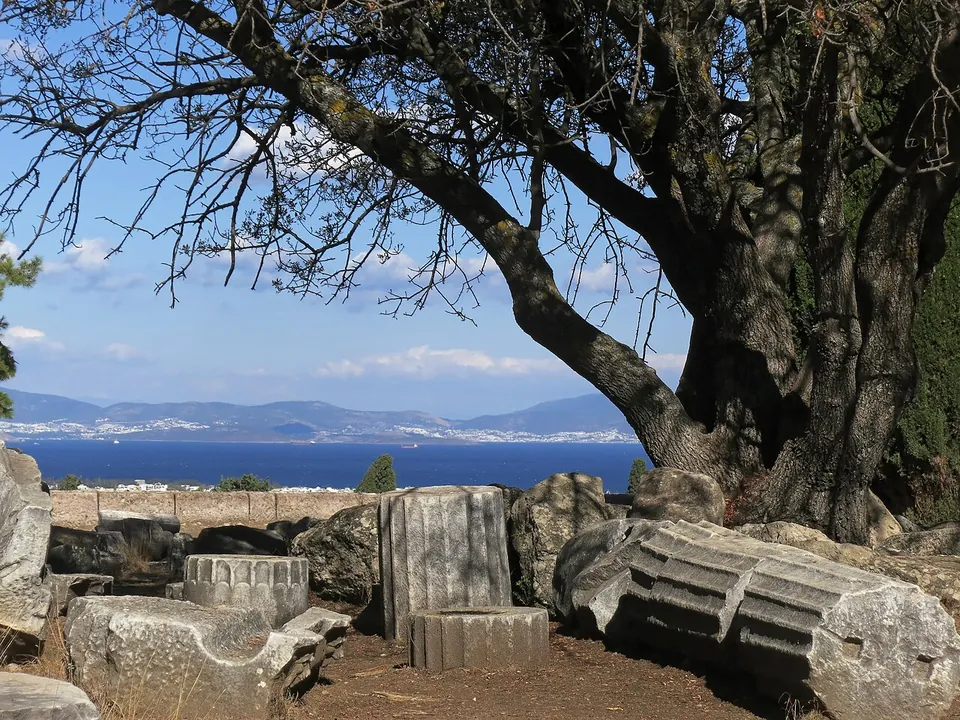 Fluted column drums and fragments lying under an old tree on the hilltop, with the sea and a mountainous far shore beyond.