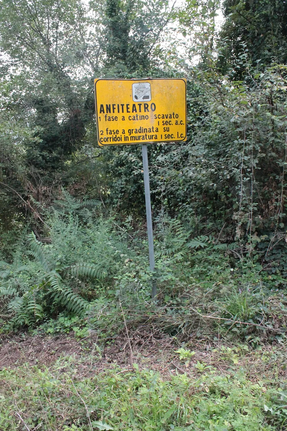 A yellow metal sign reading Anfiteatro, with two lines on its building phases, standing on a pole in front of a dense thicket of trees, shrubs and ivy.