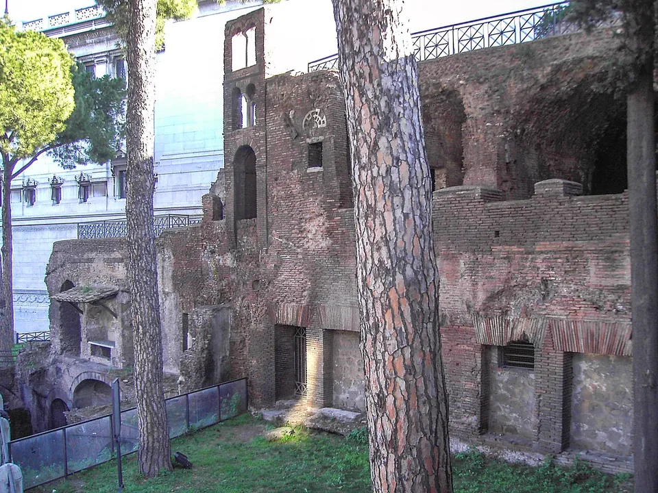 The brick walls of a multi-storey ancient building with rows of doorways and window openings, standing below street level behind a fence, with pine trunks in front of it.