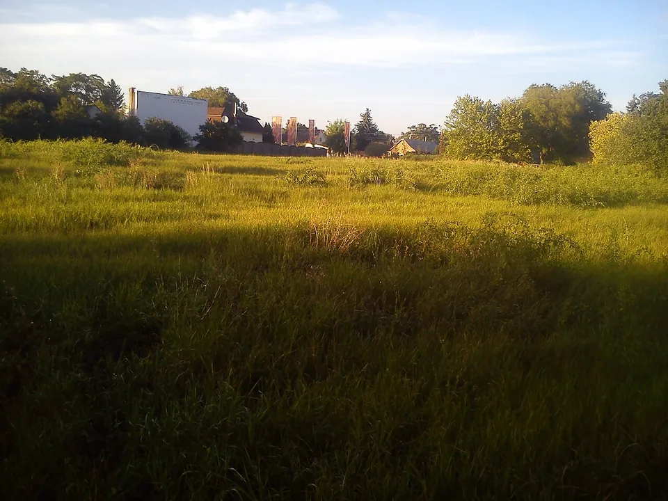 A field of long grass in evening light with houses and trees at its far edge and no masonry in view.