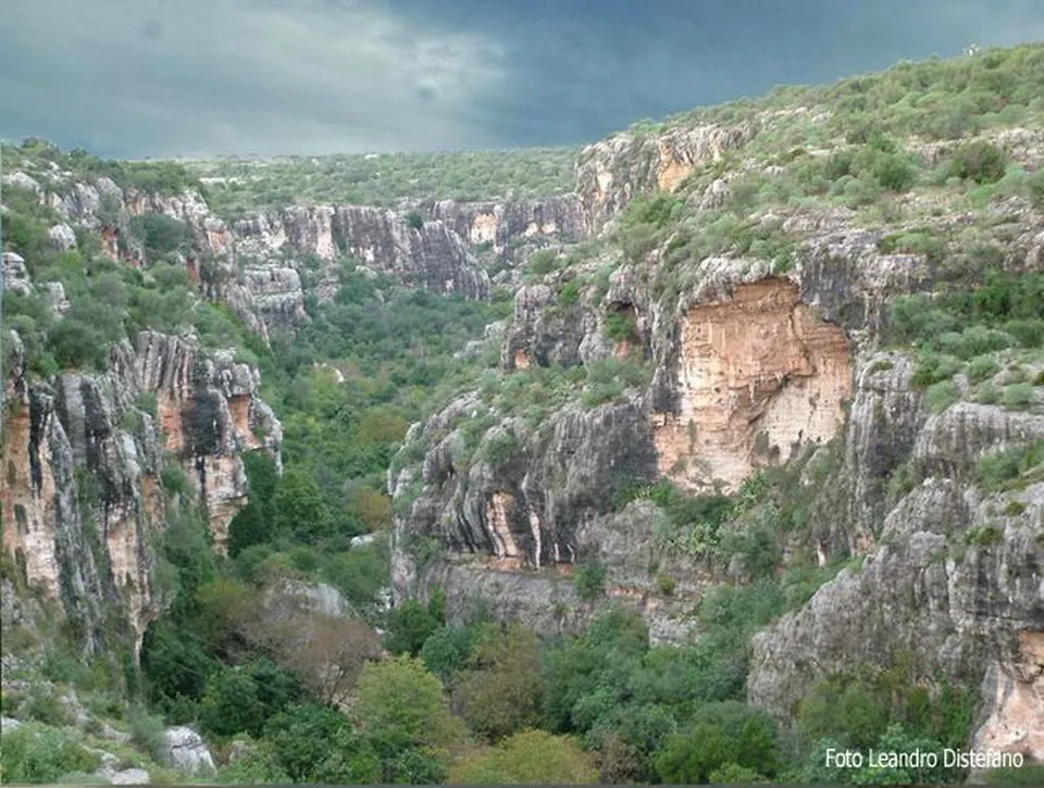 A deep, wooded limestone gorge seen from its rim, its pale cliff faces streaked with orange and grey and dotted with dark cave openings, under a grey sky.
