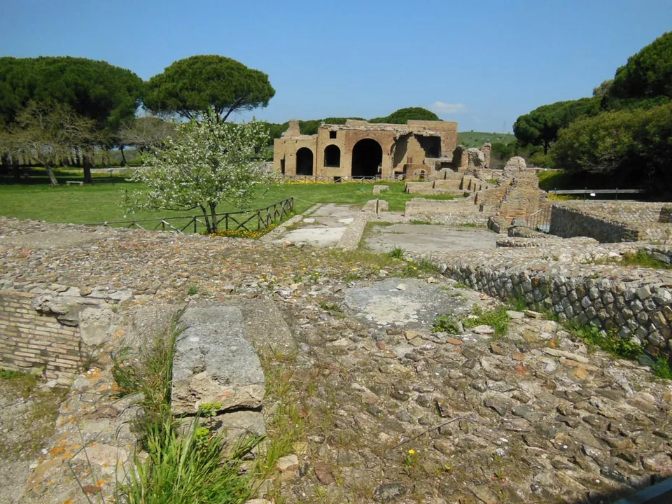 A broad stretch of excavated floors and low walls of rough stone, with a flowering tree and umbrella pines, and in the distance a brick building with arched openings.