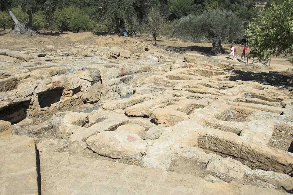 Dozens of rectangular graves cut side by side into a sheet of bare rock, among olive trees, with two visitors on a path at the far edge.