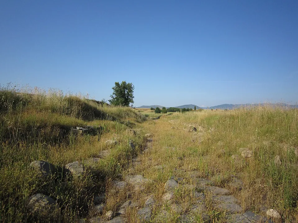 A sunken track running away across open grassland, its floor made of large grey polygonal paving stones half hidden in dry grass, with a single tree and a line of hills on the horizon.