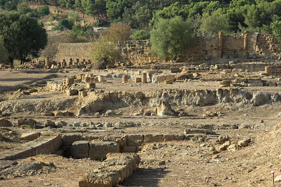 Low walls and foundations of squared stone blocks spread across dry, levelled ground, with a taller stretch of wall and trees behind.
