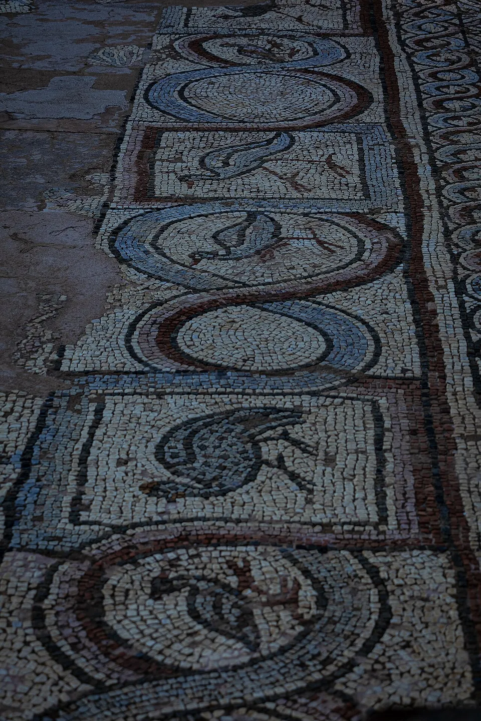 A strip of floor mosaic in dark red, blue and white stones, a chain of interlaced roundels with birds inside them.