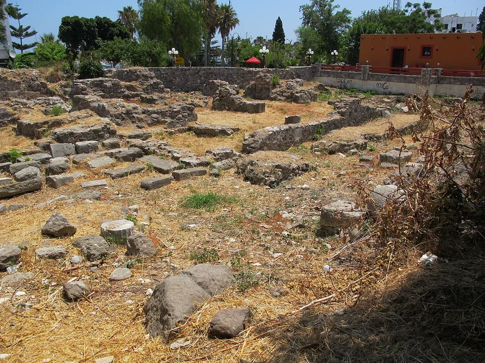 Excavated foundations of rough stone and scattered column drums in dry grass, below a wall and modern houses.
