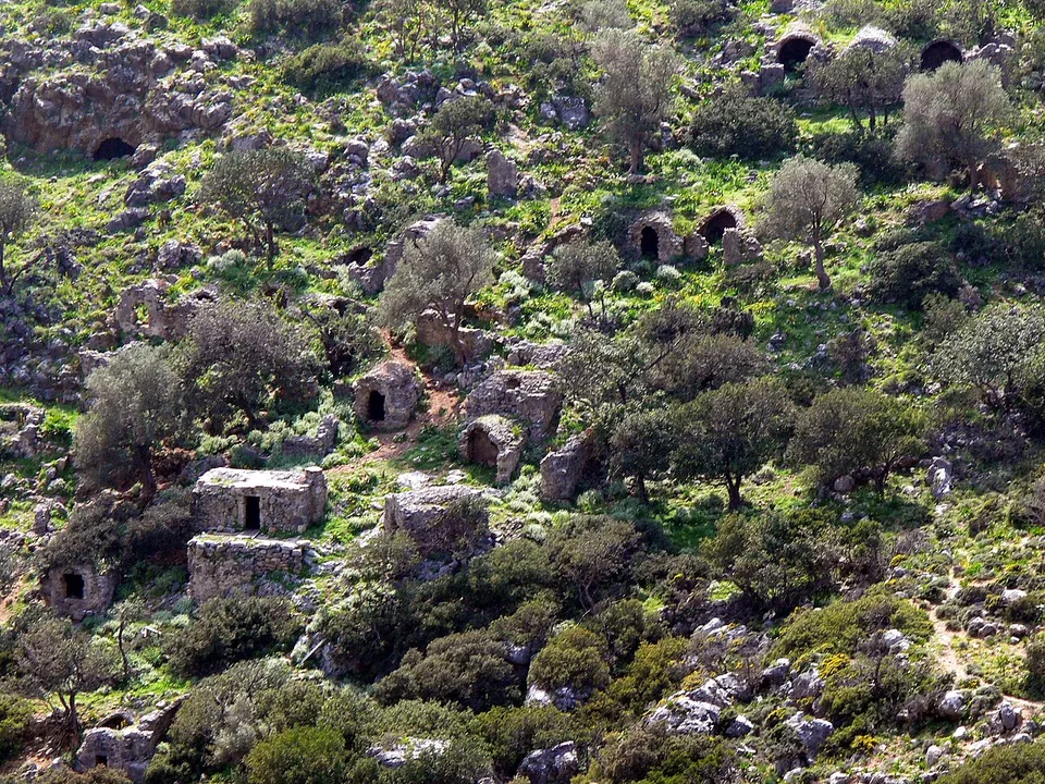 Small square stone tomb buildings with arched doorways scattered over a green hillside among olive trees and rocks.