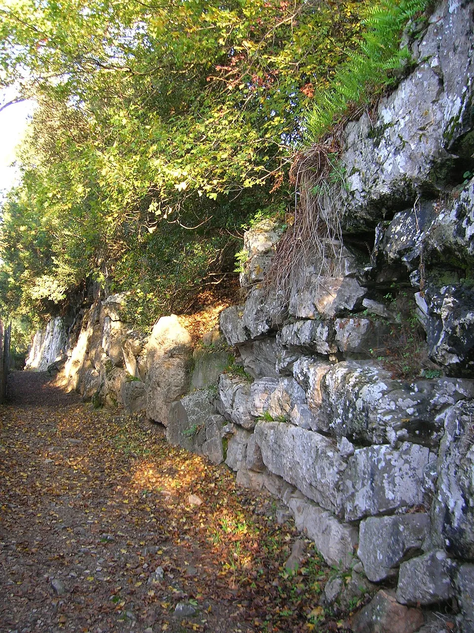 A woodland path running beside a tall wall of large, irregular grey limestone blocks fitted together without mortar, with trees growing over its top.