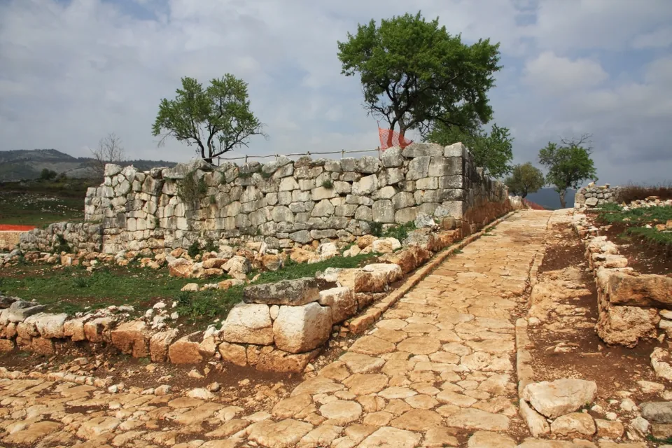 A freshly excavated street paved with irregular limestone slabs running between low stone walls, rising past a higher terrace wall of large blocks with two trees on top.