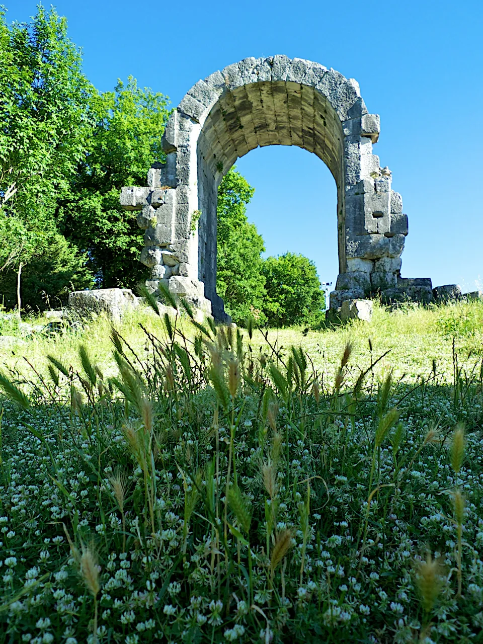 A single tall round-headed arch of large grey stone blocks, standing alone in a meadow of long grass and white clover, with trees on either side and blue sky through the opening.