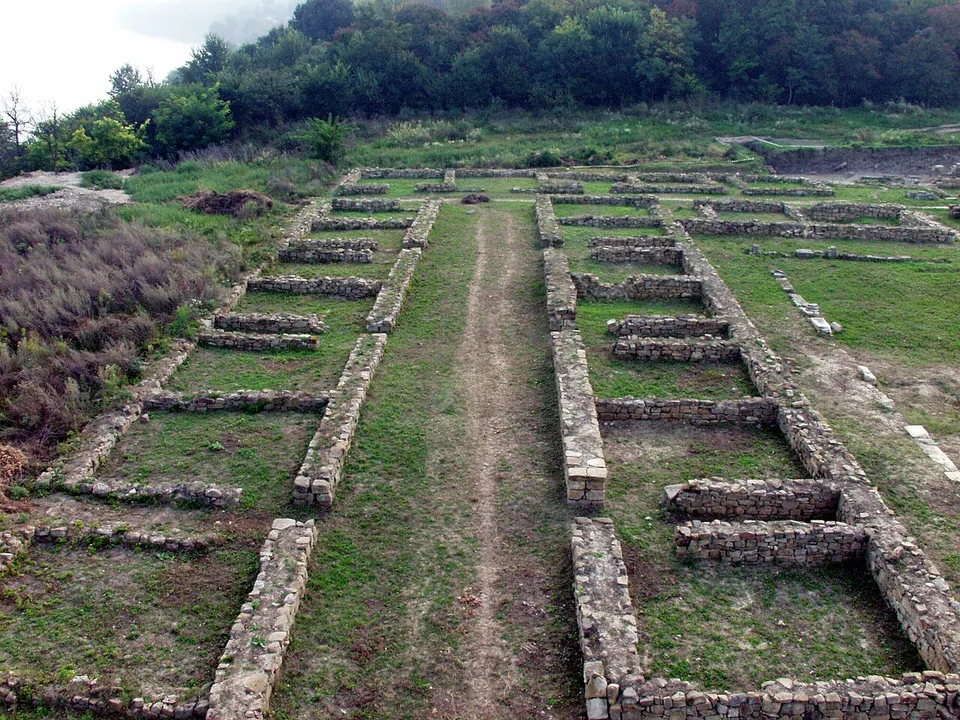 Long parallel rows of low stone wall foundations forming small rooms on either side of a grassy central corridor, on a slope with woods behind.