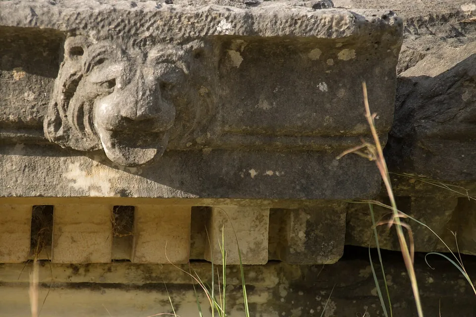 A weathered stone cornice block carved with a lion's head in relief, with dry grass stalks in front.