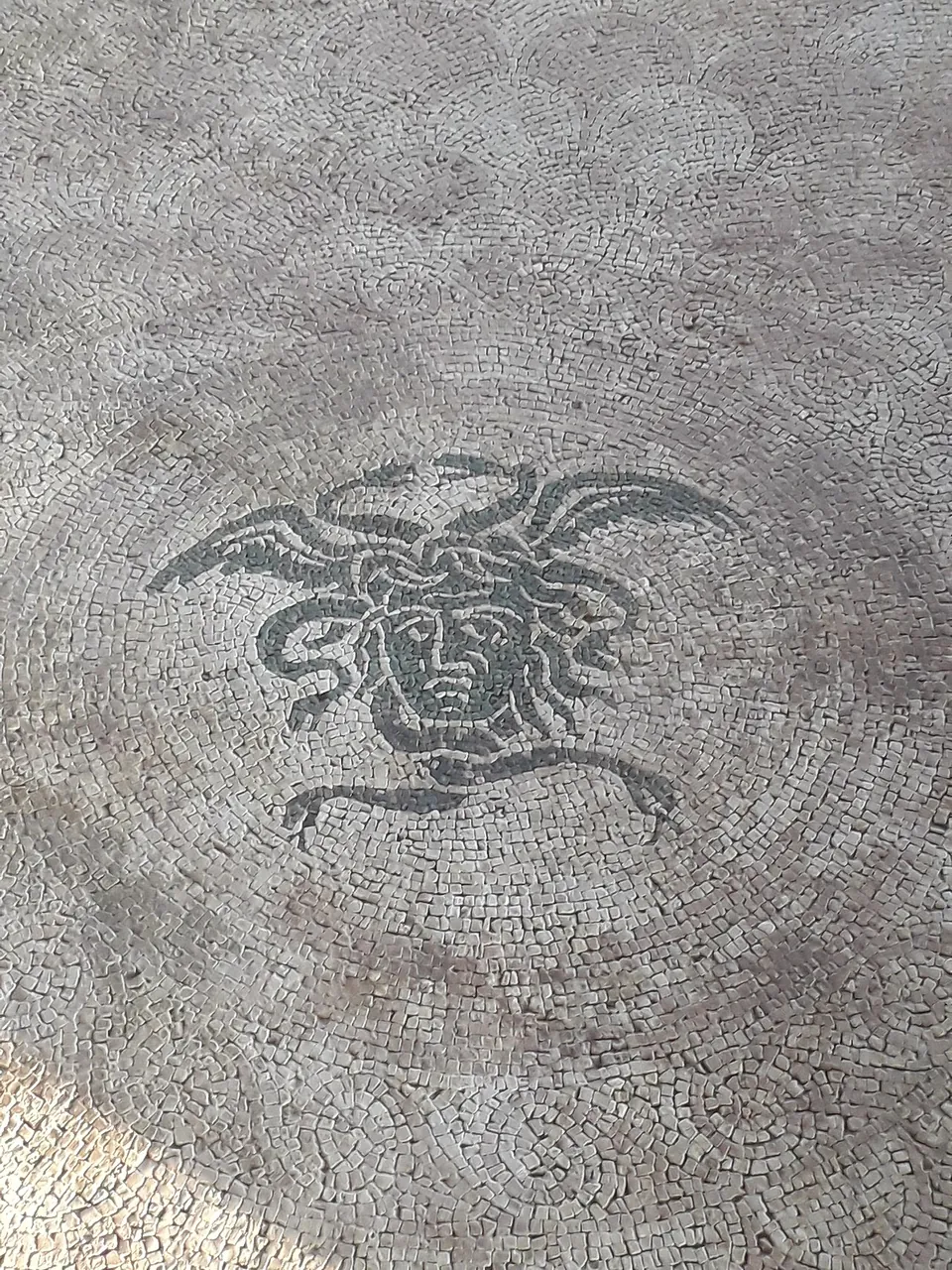 A black-and-white mosaic of a Medusa head with snaky hair and small wings, set in a circular field of pale tesserae.