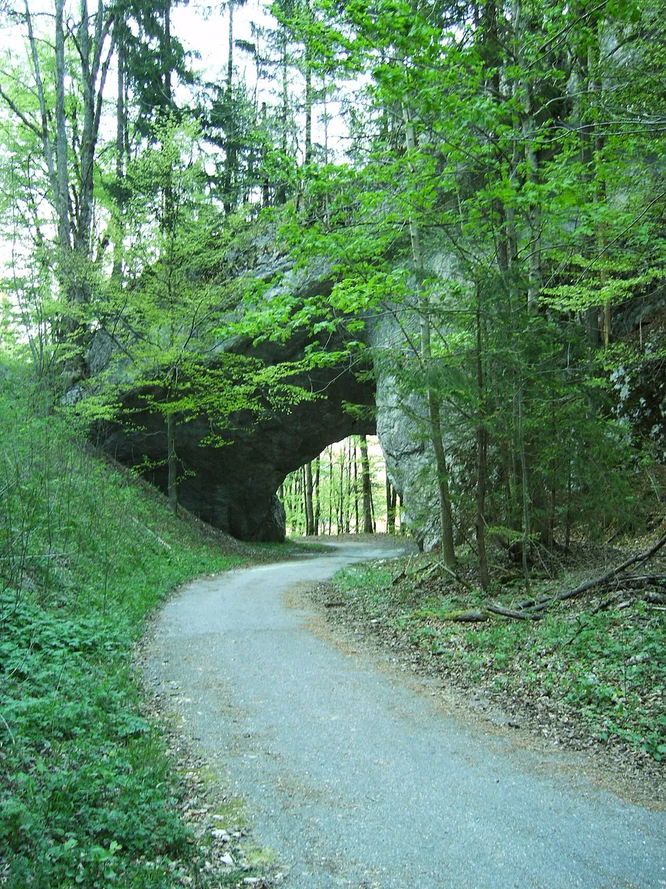 A narrow paved lane climbing through beech woods towards a low natural rock arch, with daylight showing through the opening.