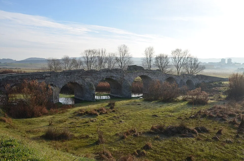 The long, low bridge seen from the side across a meadow of rough grass and shrubs, its row of round arches crossing a stream, with bare trees behind and the buildings of a town on the skyline at right.