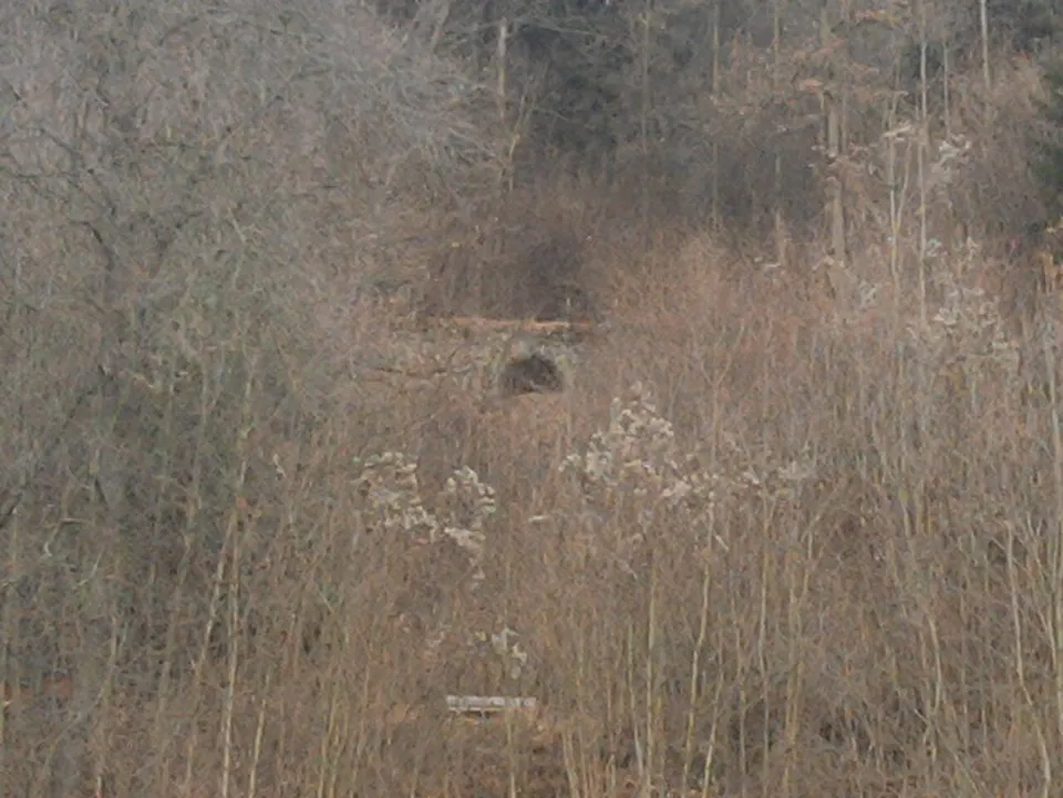 A wooded slope in winter, with the small dark opening of a stone arch just visible among the bare trees and brush.