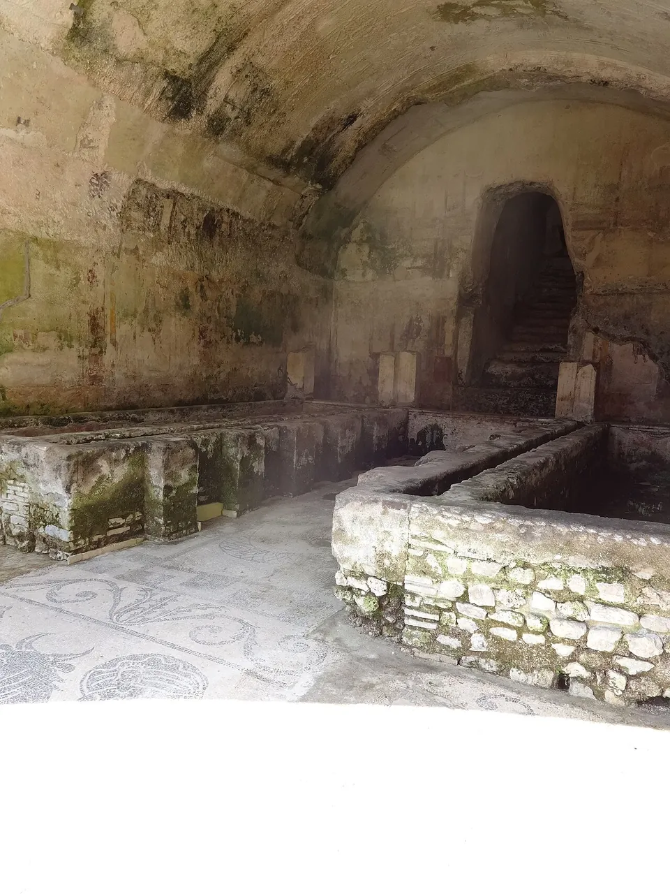 A barrel-vaulted room with damp-stained walls, long masonry platforms standing on a patterned mosaic floor and a dark opening with steps at the far end.