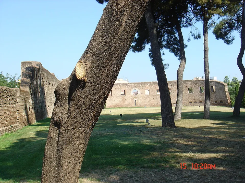 A long, high ruined brick wall with a row of small windows enclosing a lawn shaded by pines, with another stretch of wall running off at the left.
