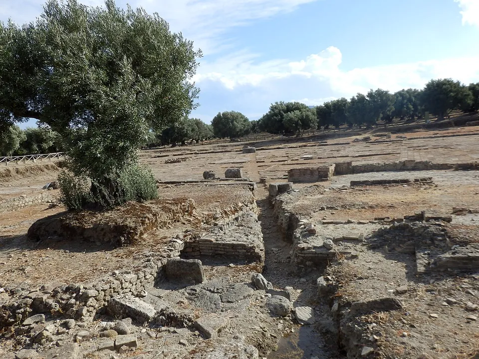 Low excavated walls and foundations of stone and brick spread across bare ground, cut by a narrow channel, with an olive tree on the left and more olive groves behind.