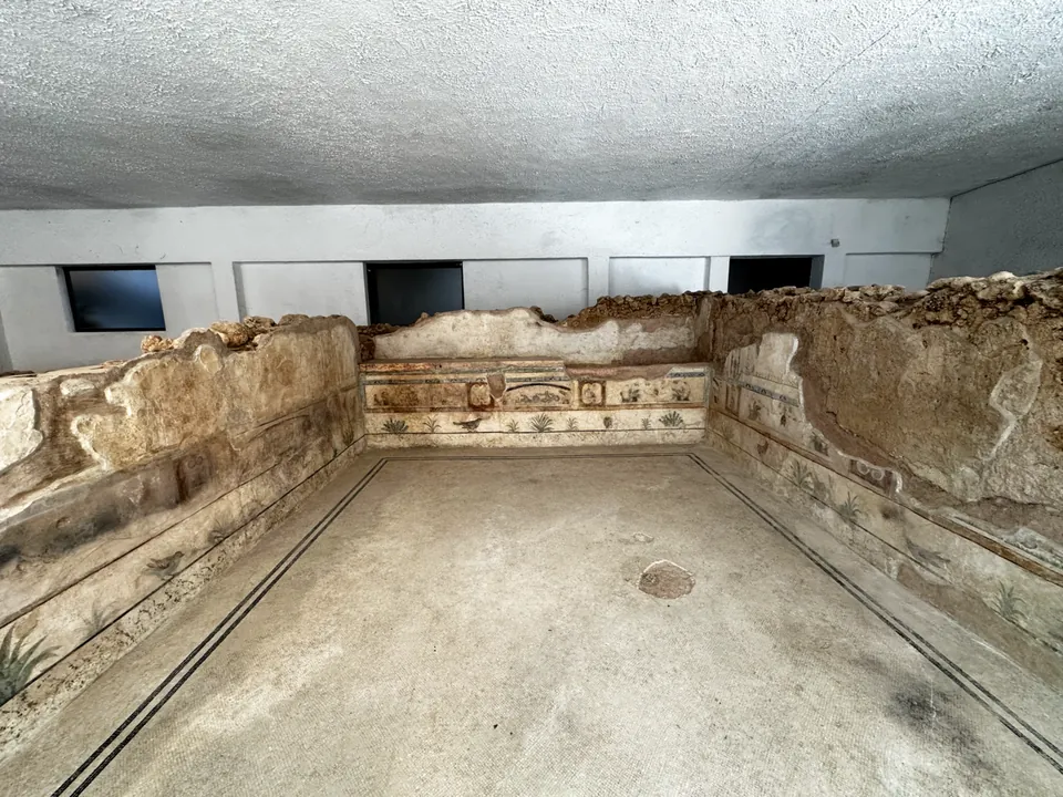 A small rectangular room seen from one end, its white mosaic floor framed by thin black lines, enclosed by low broken walls whose lower parts keep painted plaster in white, red and green with small plants and birds.