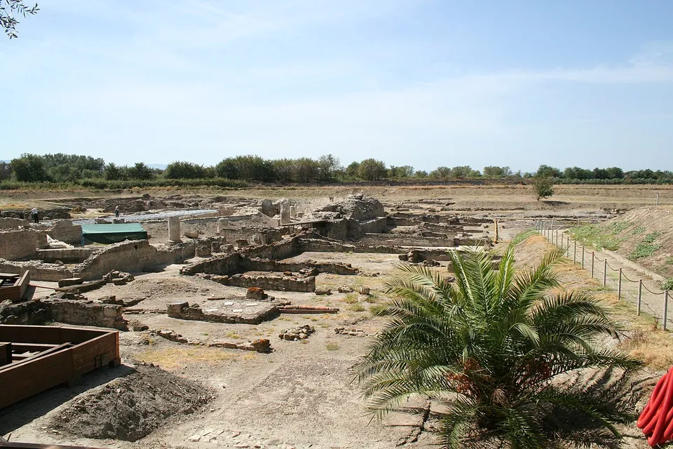 A wide, sun-baked excavation of low stone foundations and wall stubs stretching to a line of trees on the horizon, with a palm in the foreground and a fence along the right edge.