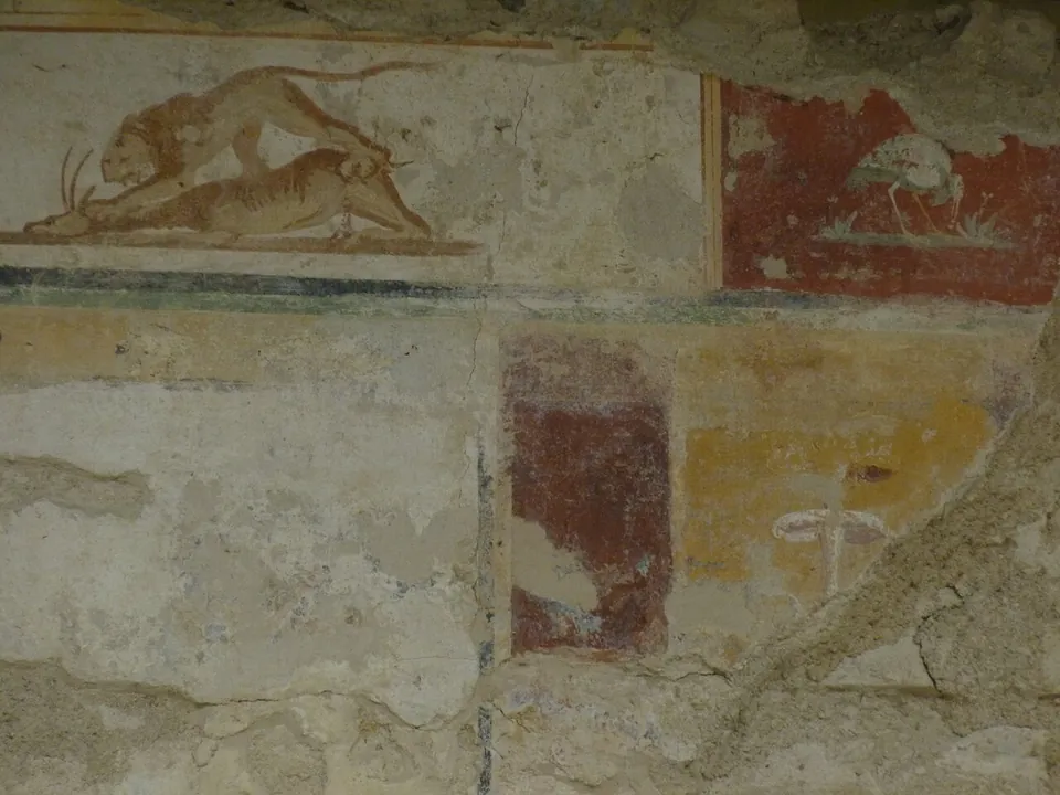 Close view of painted plaster, a reddish-brown big cat leaping on the back of a horned animal on a pale band, above panels of red and ochre.