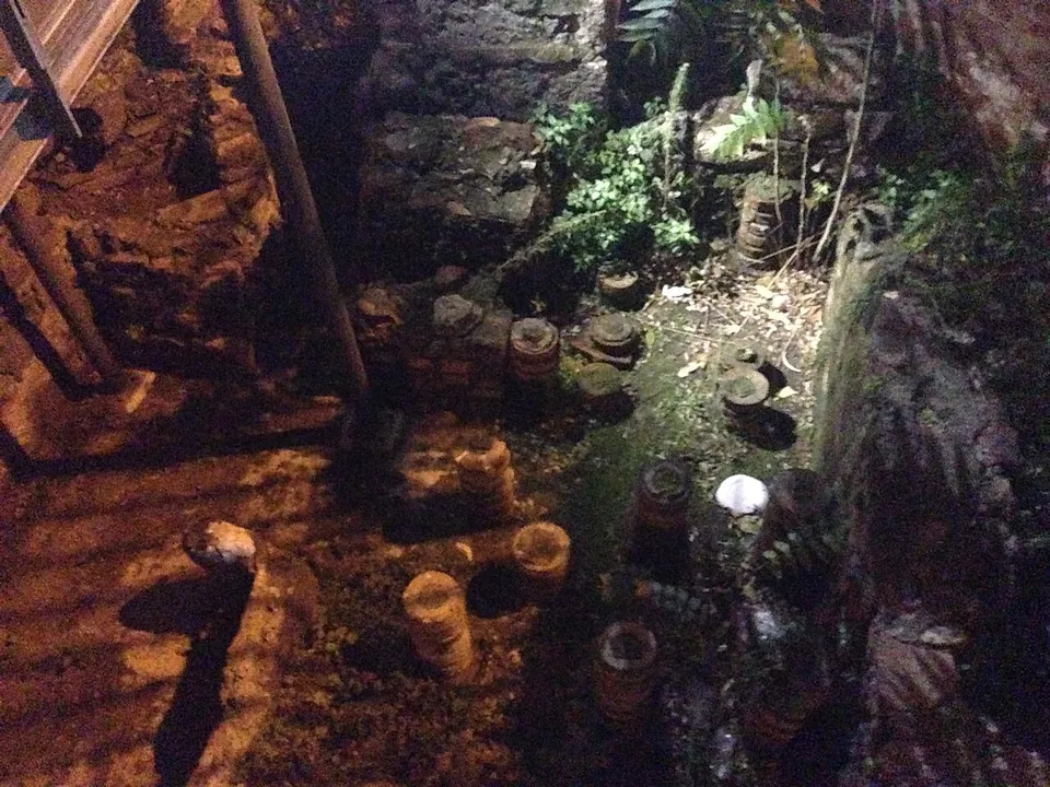 Rows of short round stacks of tiles standing on an excavated floor in artificial light, with ferns growing from the stone walls around them.