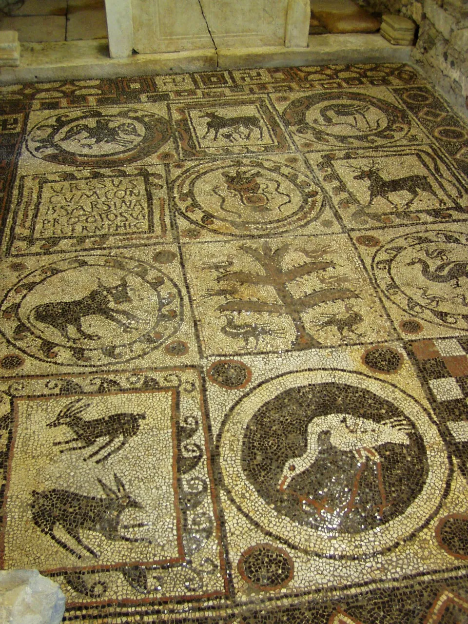 A pebble-and-stone floor mosaic seen from above, divided into round and square panels with animals and a tree, laid in dark and reddish stones on a pale ground.