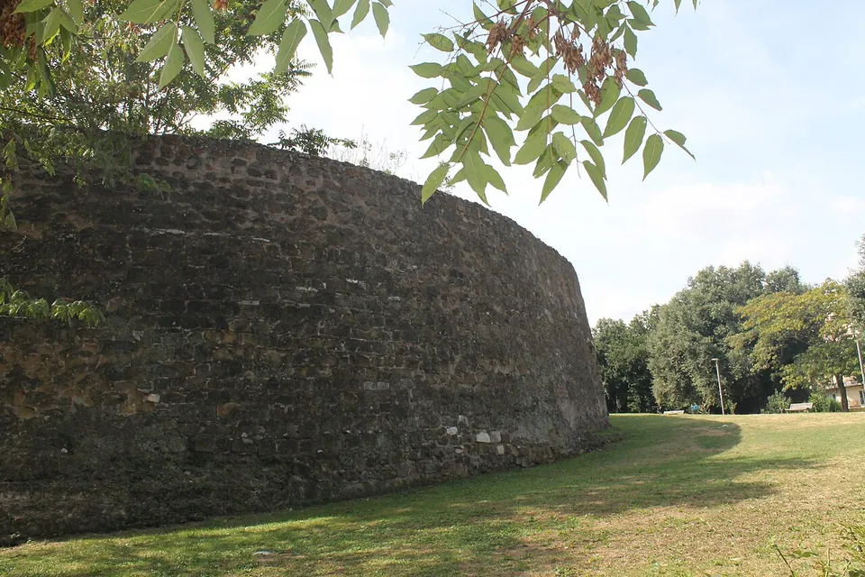 The outer face of the drum curving away across a lawn, built of small irregular stones in rough courses, under the branches of a tree.