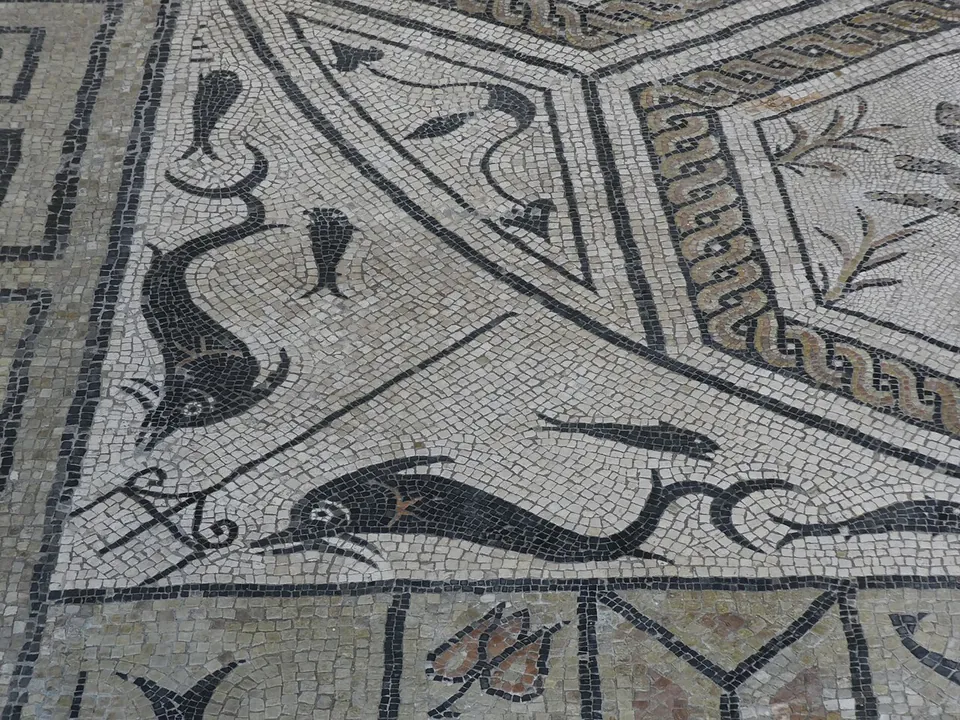 Close-up of black and white mosaic tesserae forming two dolphins and small fish beside a coloured twisted-rope border.