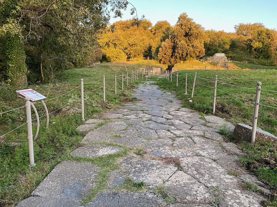 A street of large grey paving stones running between rope fences across a grassy slope towards a low ruin, with trees in autumn colour behind and a small sign on a post at the left.