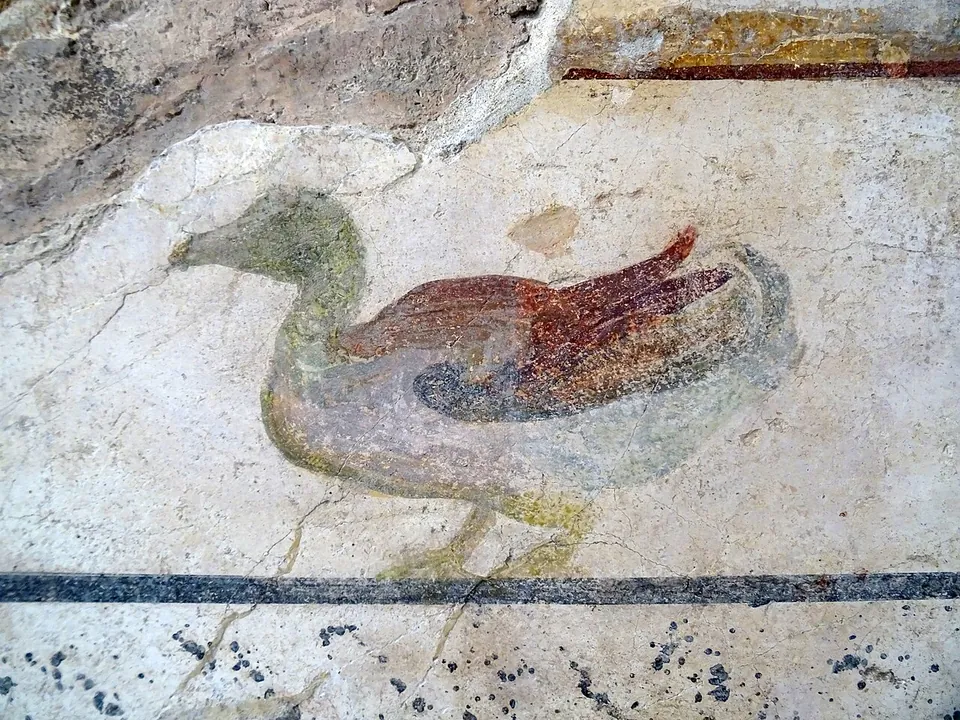 A close view of painted wall plaster showing a duck in profile, with a greenish head and neck and red-brown wings, above a dark painted line; the plaster around it is cracked and partly lost.