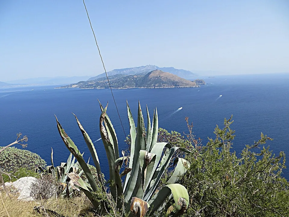 Looking down from a height over agave leaves and scrub to a deep blue sea, with a headland and a hilly coast across the water.
