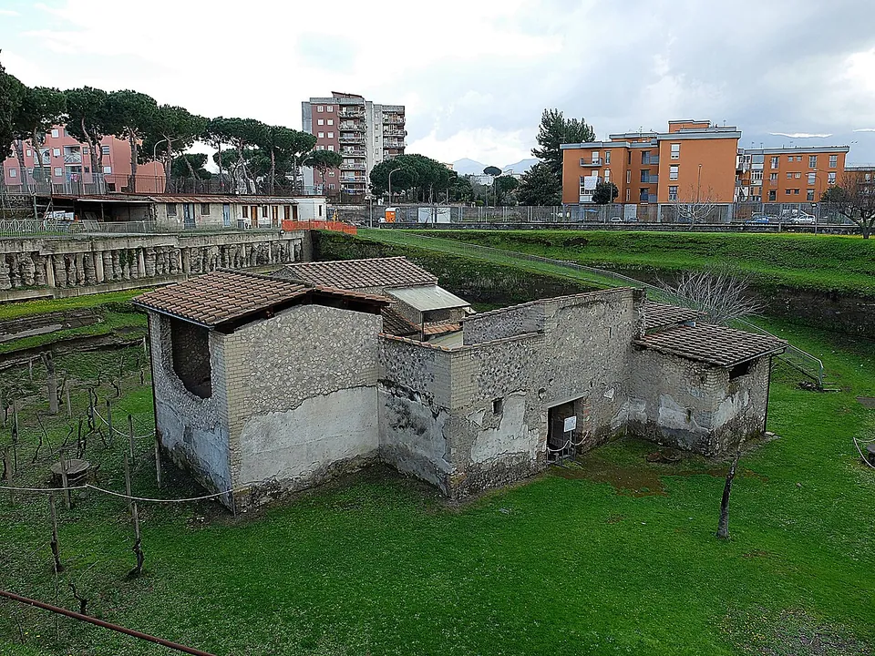 A small farm building of rough stone and plastered walls under restored tiled roofs, standing in a grassy hollow planted with young vines on stakes, with modern apartment blocks and umbrella pines on the rim above.