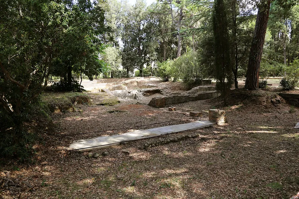 A shaded park of tall pines and other trees, with low stone walls rising from the leaf litter and a sunlit clearing beyond.